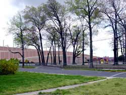 Victory Drive looking south toward Bellmawr Park School photo